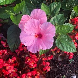 Meet your Posher, Meredith